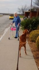 IMG 20151225 143149610